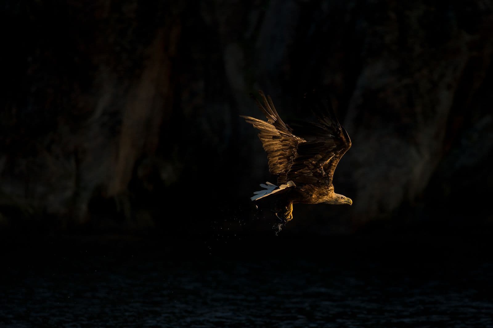 Ørnenes rige (kopia) — 3