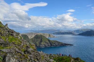 Søpapegøjer på Runde — 16