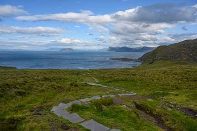 Søpapegøjer på Runde — 17