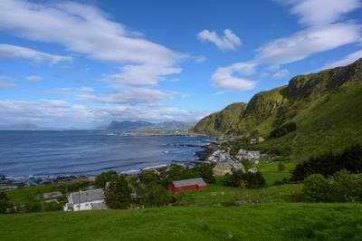 Søpapegøjer på Runde — 18