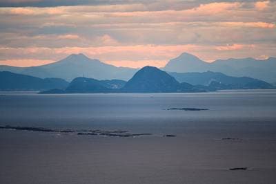 Søpapegøjer på Runde — 26