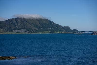 Søpapegøjer på Runde — 29