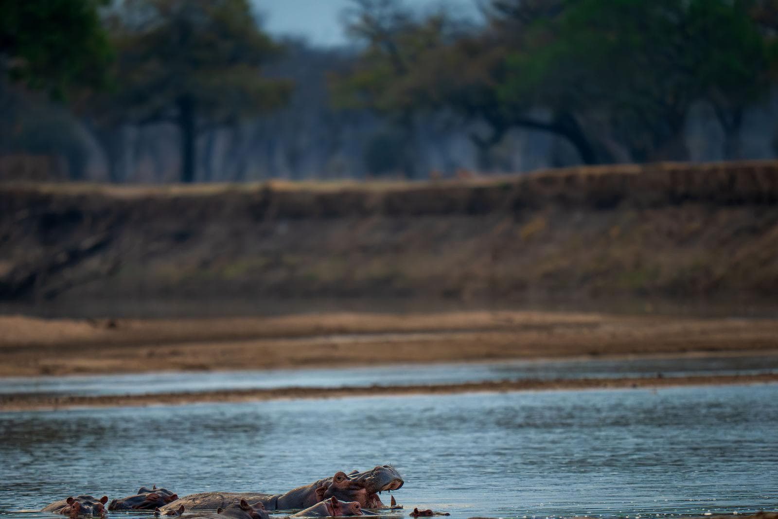 South Luangwa — 24