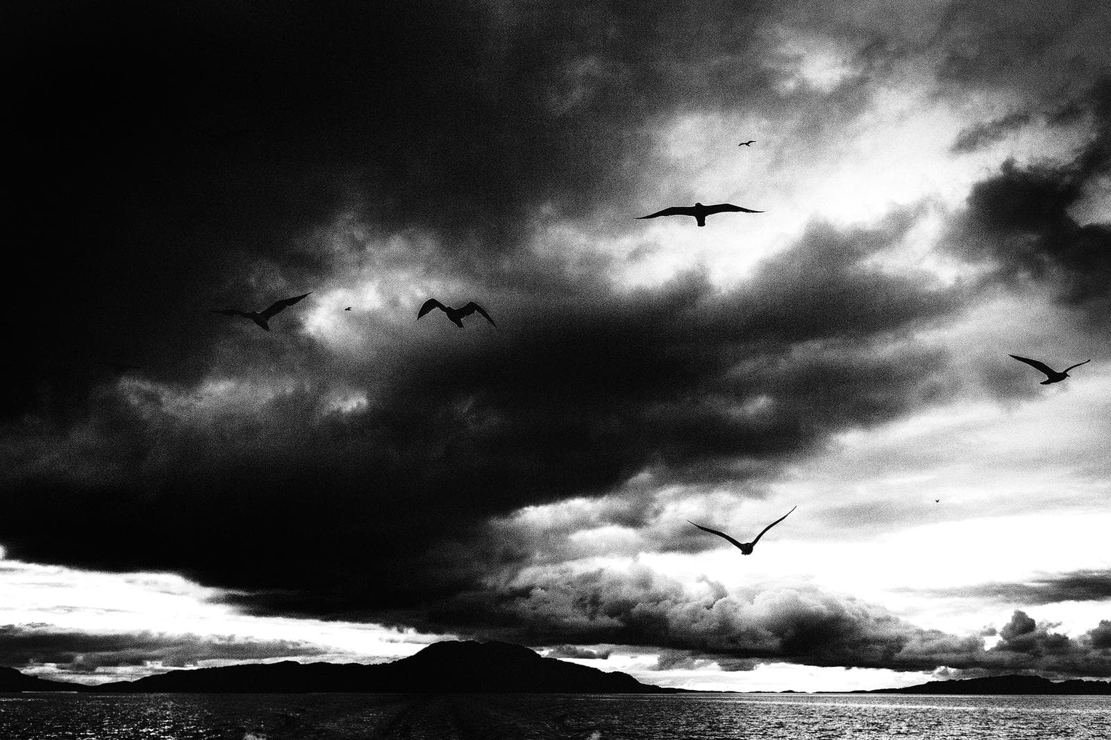 Vinter i ørnerigtet — 11