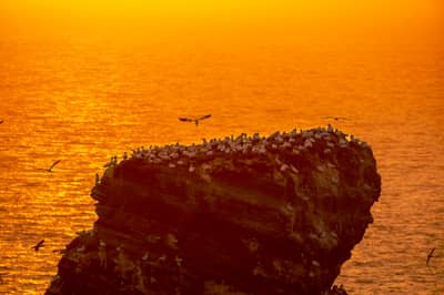 Helgoland (kopia) — 21