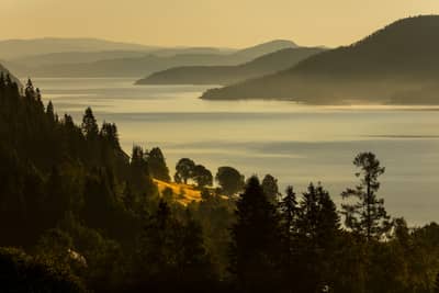 Ørnenes rige — 20