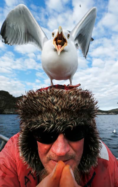 Ørnenes rige — 19