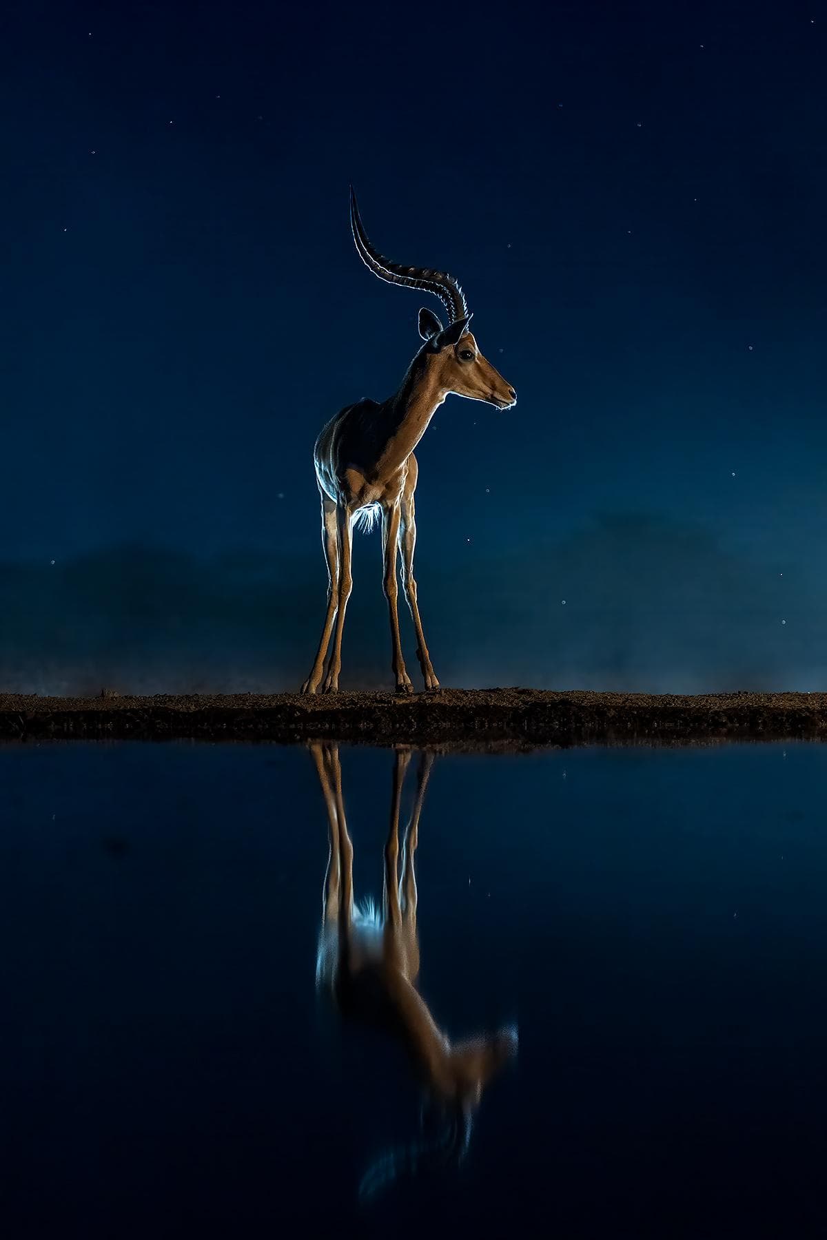 Gömslefotografering i Shompole Wilderness — 14