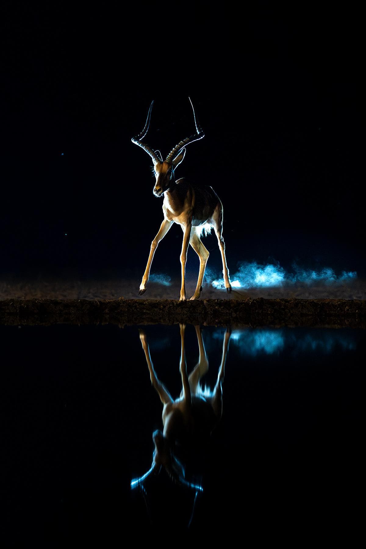 Gömslefotografering i Shompole Wilderness — 24