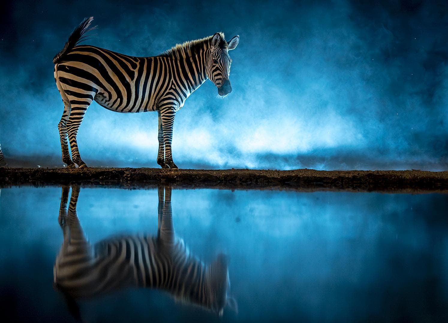 Skjulsfotografering i Shompole Wilderness — 13