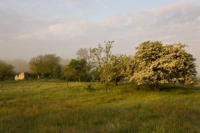 Ungarn forår (kopia) — 36