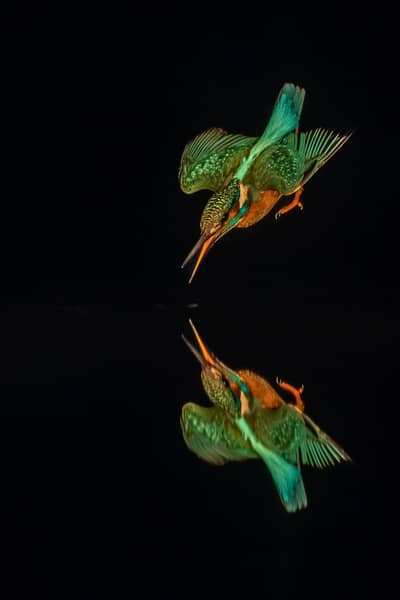 Ungarn forår (kopia) — 27