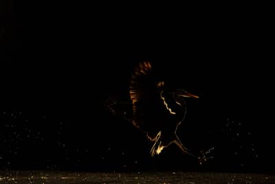 Ungarn vinter — 36