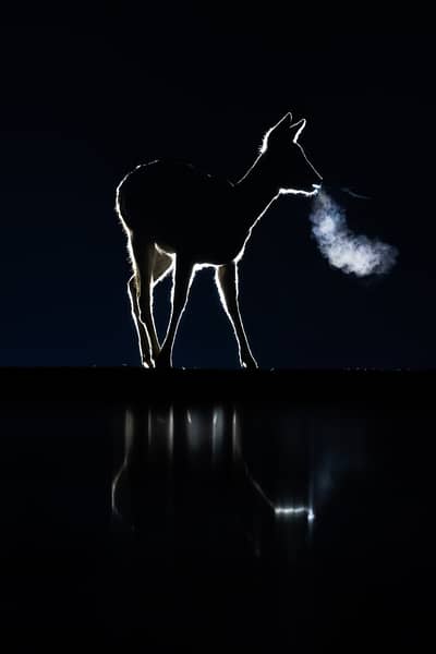 Ungarn vinter — 18