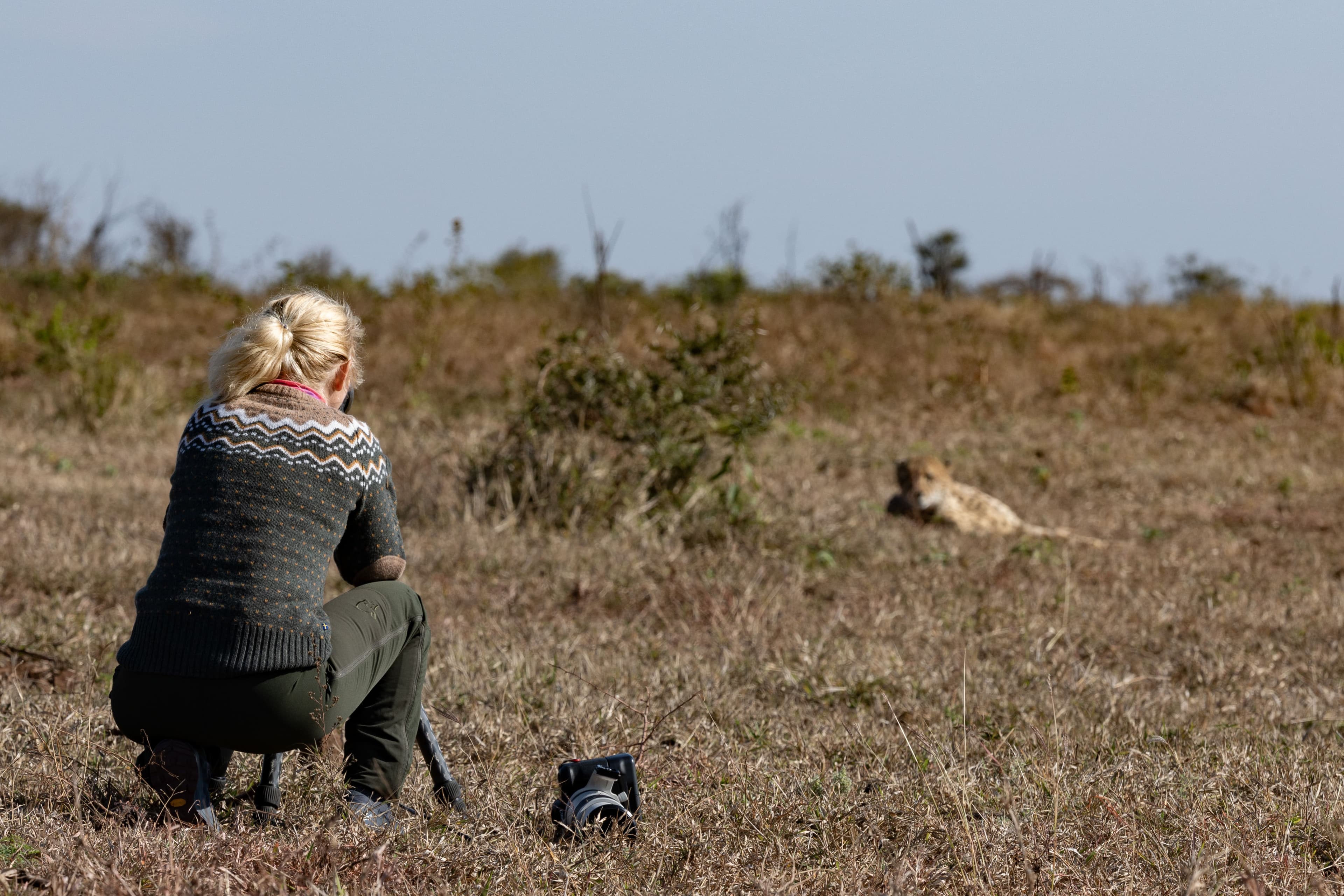 Deltager fotograferer gepard på tryg afstand
