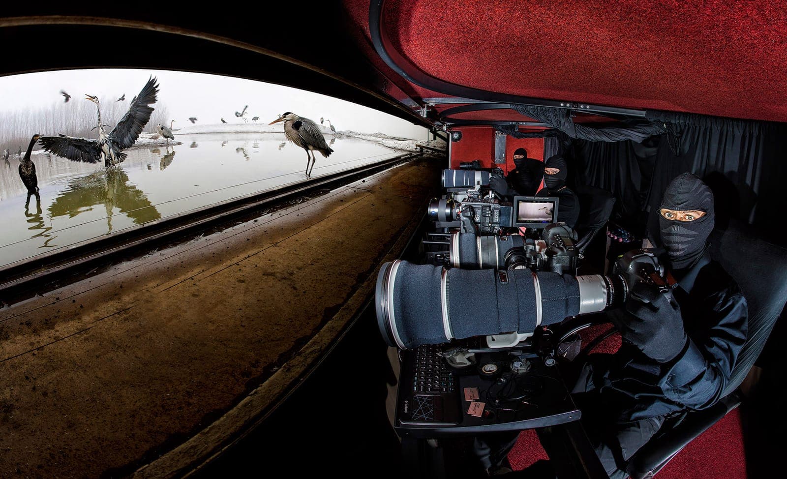 Ungarn — Europas bedste fugleskjul